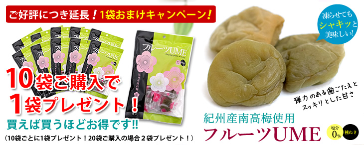 紀州梅の通販なら梅の専門店【小森梅選堂】