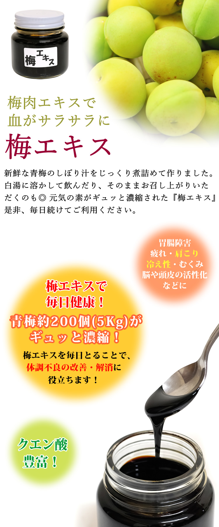 梅エキス 150g