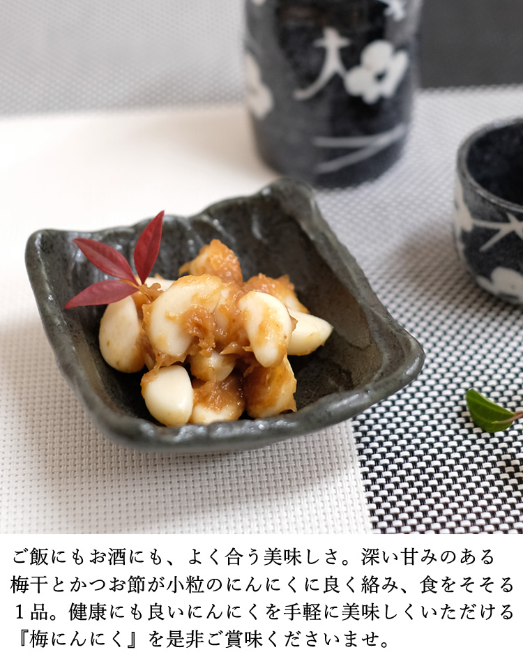 人気ブランド 梅きらら 梅にんにく 250g 梅製品税込5 400円以上で送料無料 Riosmauricio Com